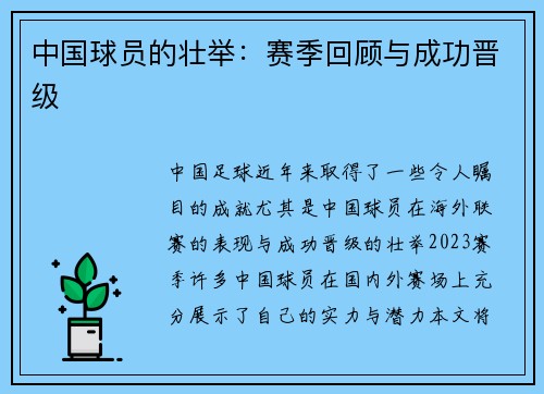 中国球员的壮举：赛季回顾与成功晋级