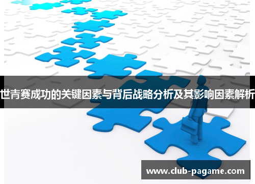 世青赛成功的关键因素与背后战略分析及其影响因素解析