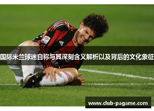国际米兰球迷自称与其深刻含义解析以及背后的文化象征