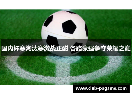 国内杯赛淘汰赛激战正酣 各路豪强争夺荣耀之巅