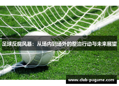 足球反腐风暴：从场内到场外的整治行动与未来展望